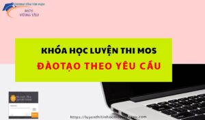 Khóa học luyện thi mos đâo tạo theo yêu cầu uy tín chất lượng hiệu quả vũng tàu