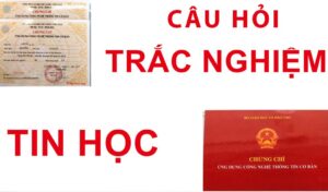 các câu hỏi về lý thuyết ứng dụng công nghệ thông tin cơ bản